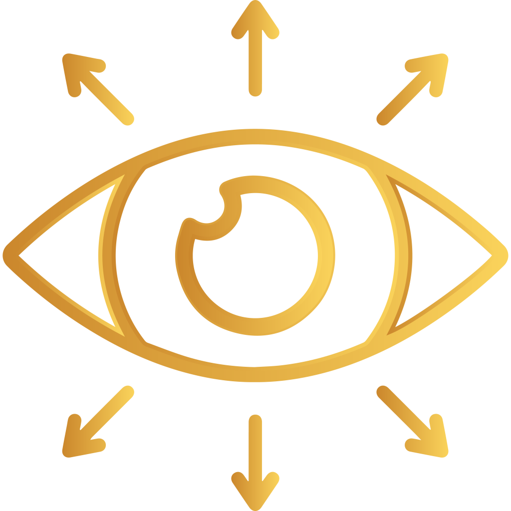 GIỚI THIỆU 2 Tầm nhìn Nhật Huy