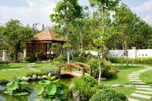 THIẾT KẾ NHÀ LẮP GHÉP SÂN VƯỜN NÊN CHỌN CÂY NHƯ THẾ NÀO? 4 lua-chon-cay-trong-nha-lap-ghap-san-vuon-nhat-huy