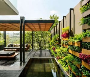 THIẾT KẾ NHÀ LẮP GHÉP SÂN VƯỜN NÊN CHỌN CÂY NHƯ THẾ NÀO? 3 lua-chon-cay-trong-nha-lap-ghap-san-vuon-nhat-huy