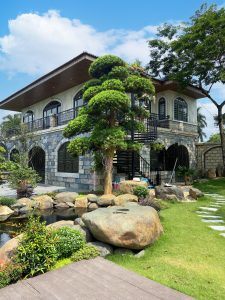 lua-chon-cay-trong-nha-lap-ghap-san-vuon-nhat-huy